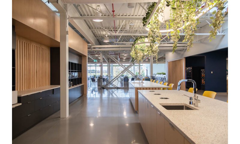 [image] UMANO MÉDICAL L'ISLET