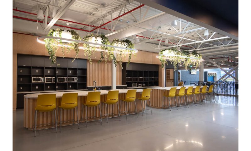 [image] UMANO MÉDICAL L'ISLET