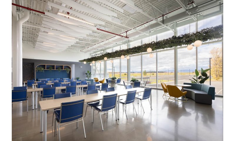 [image] UMANO MÉDICAL L'ISLET