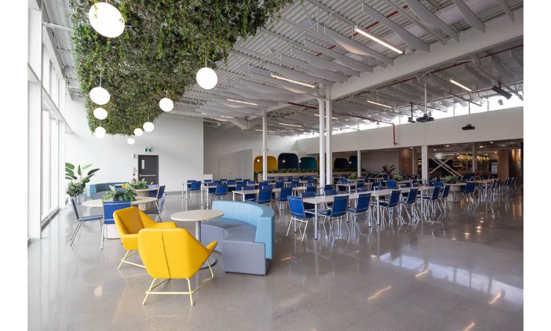 [image] UMANO MÉDICAL L'ISLET