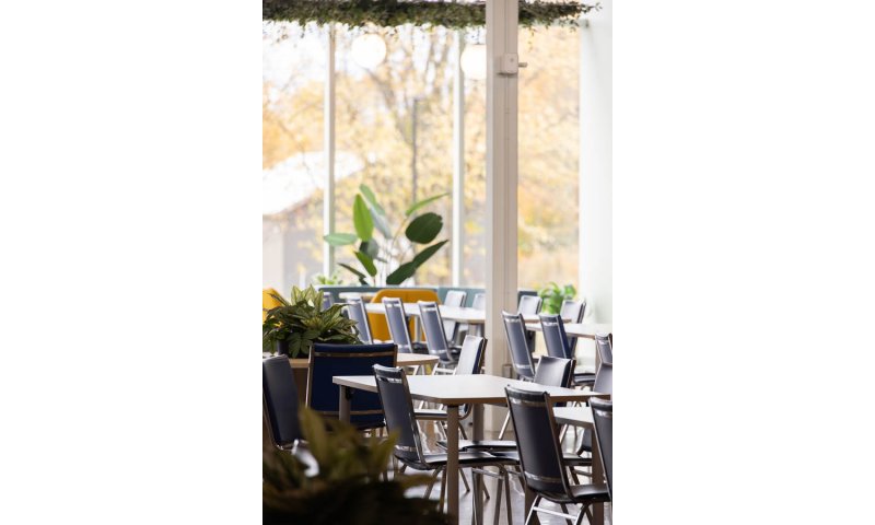 [image] UMANO MÉDICAL L'ISLET